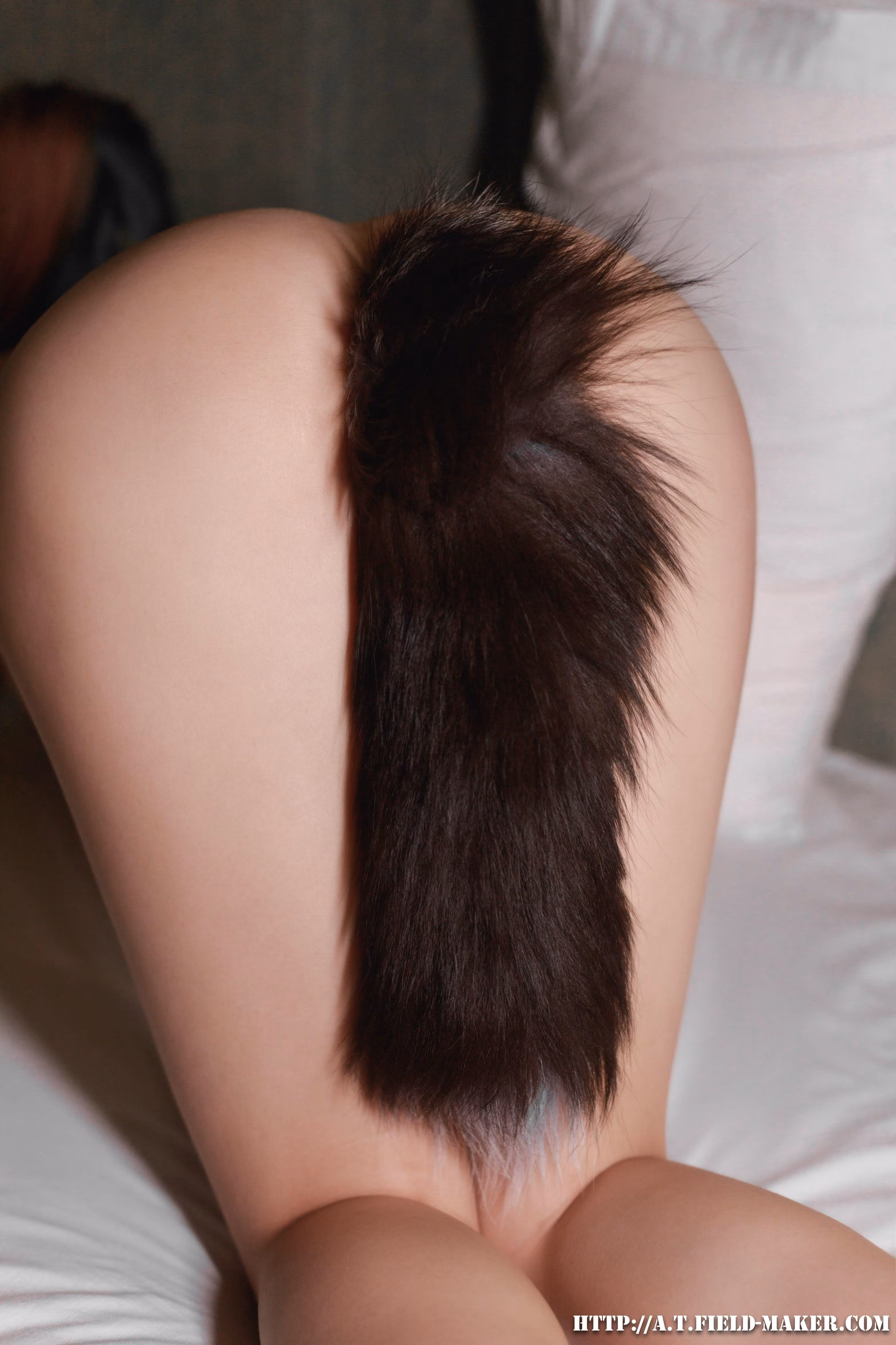 Tsubaki Album Vol 23 Tail Anal Plug And Vaginal Dilator