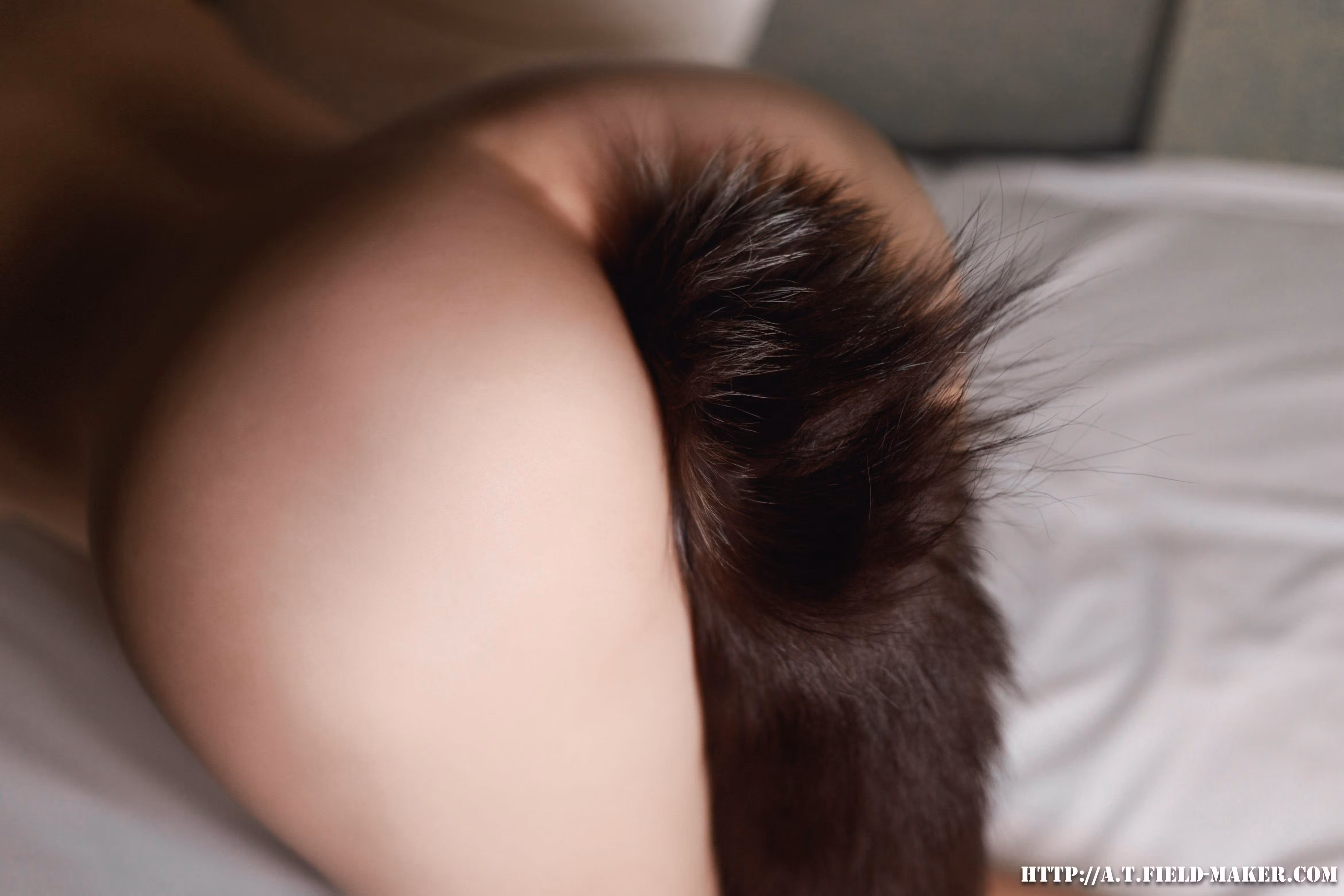 Tsubaki Album Vol 23 Tail Anal Plug And Vaginal Dilator